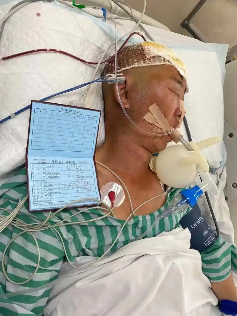 经历了一年8个月零5天,开了3次庭,谁知.道我们一家过的什么 - 抖音