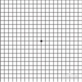 视野检查科普贴丨专注于眼前文字时眼角能看到周围多少事物