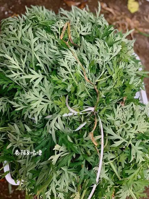 自己家种滴艾草做青团团子真的超级好吃～9315快递邮寄#漳浦甜品