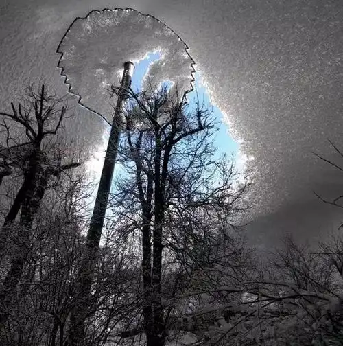 12张有趣的照片,证明这个世界仍有许多未知!_腾讯新闻