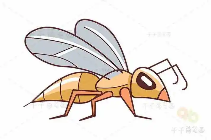 马蜂的简笔画彩图