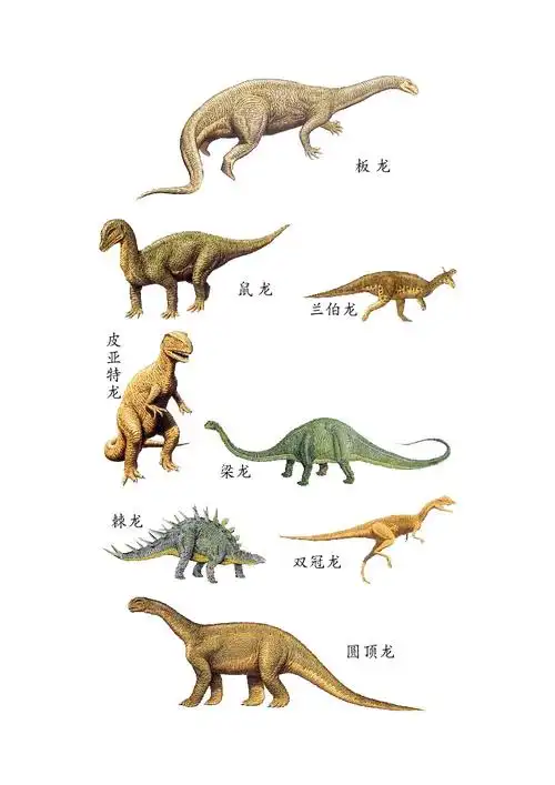 恐龙的种类(二).doc