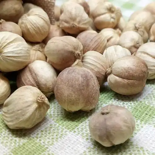 白蔻250克无硫中药材香料调料白扣白寇白豆蔻白芷花椒