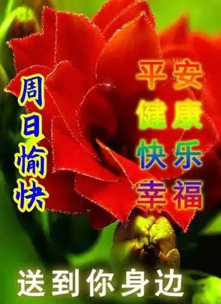 周日周末早安图片带字 早上好问候语祝福语简短