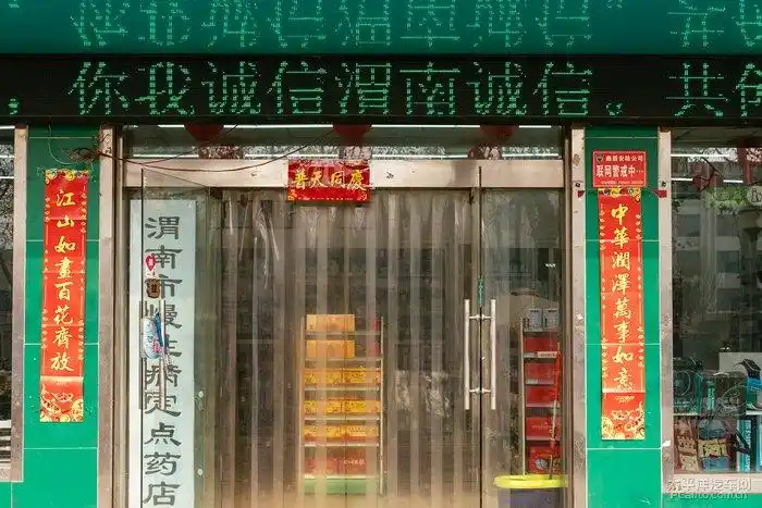 陕西渭南临渭区己亥猪年春联图集之药店