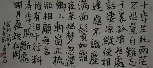 南海岩  十年生死两茫茫>