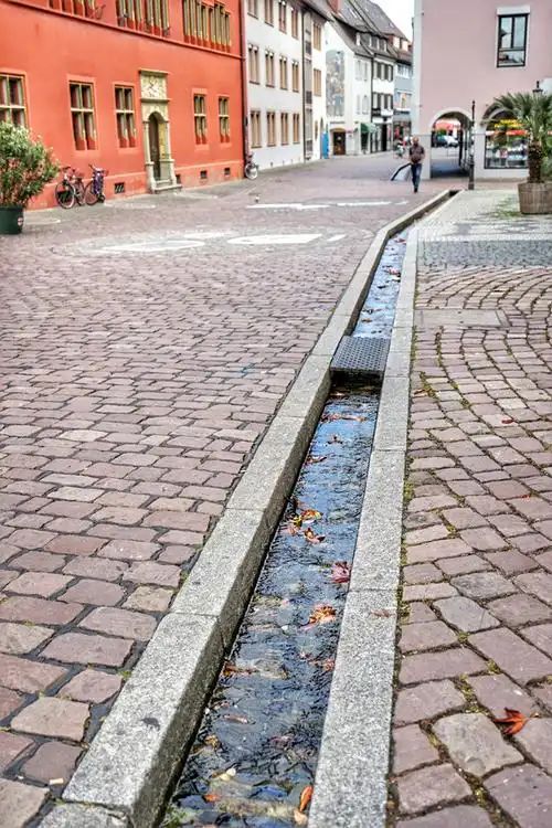 德国弗莱堡:深入魔法黑森林沟 探秘传说之城