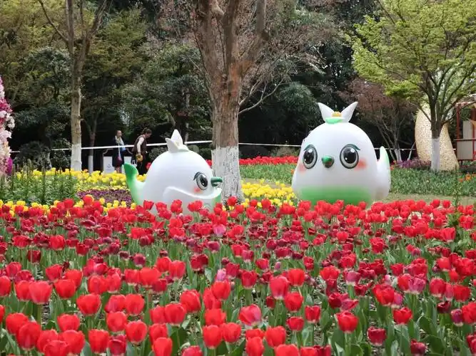 期待成都市第60届花展明日开幕