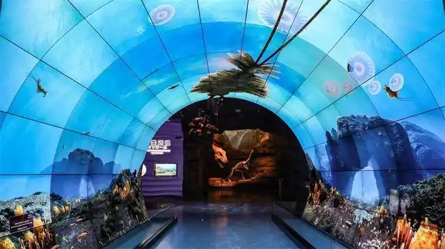 喜讯!云南澄江化石地世界自然遗产博物馆挂牌