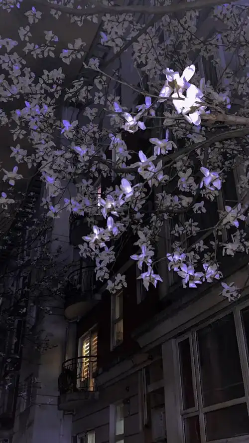 小众壁纸##ins风壁纸##适合微信置顶的文案##朋友圈背景图##可爱敝浇