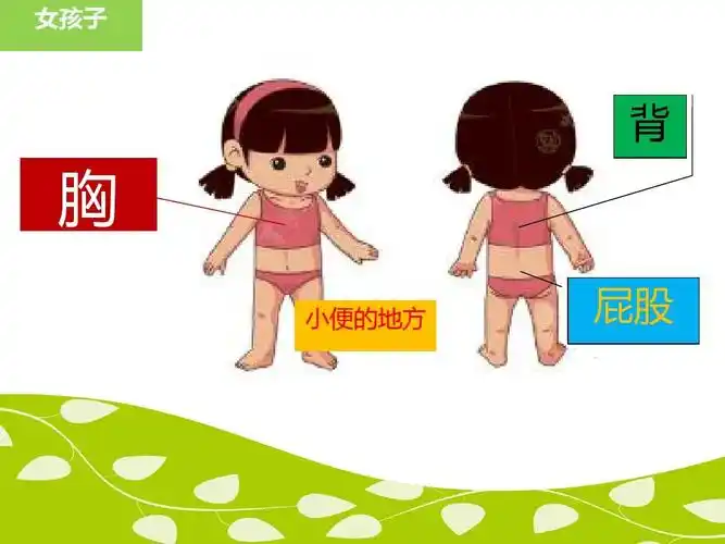 认识自己的身体和身体的"小秘密"