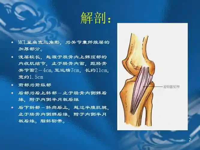 内侧副韧带损伤ppt课件ppt