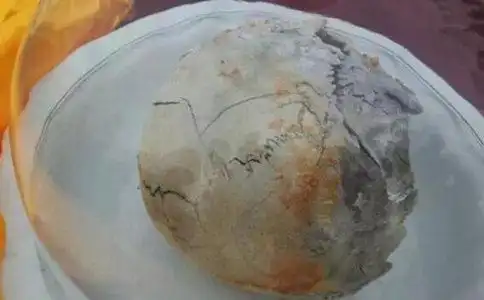 南怀瑾舍利子图:头盖骨舍利