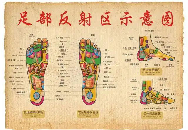 人的双脚上存在着与各脏腑器官相对应的反射区和经络分布,当用温热水