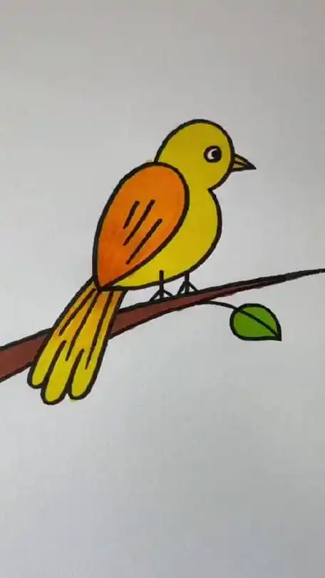 用数字23画鸟简单易学_简笔画