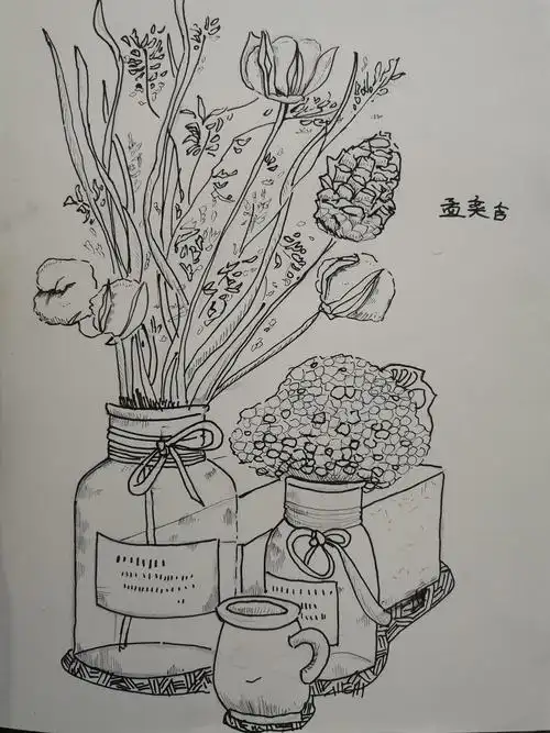 素描初级:单个静物写生 素描中级:静物组合临摹,静物组合写生 线描