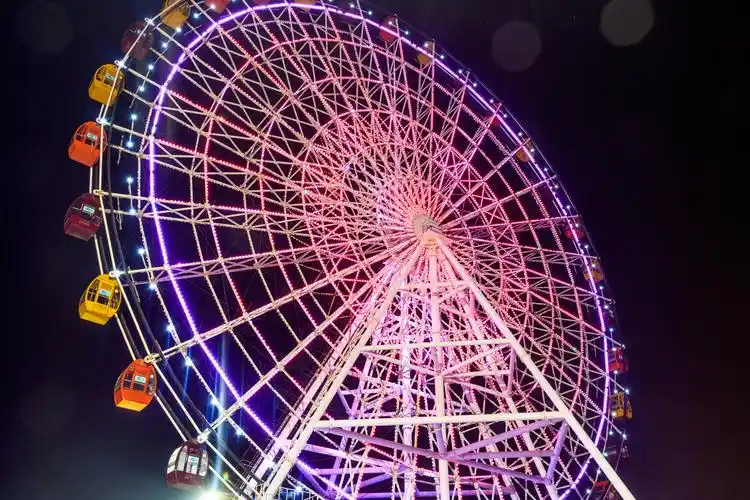 梦湖游乐场摩天轮