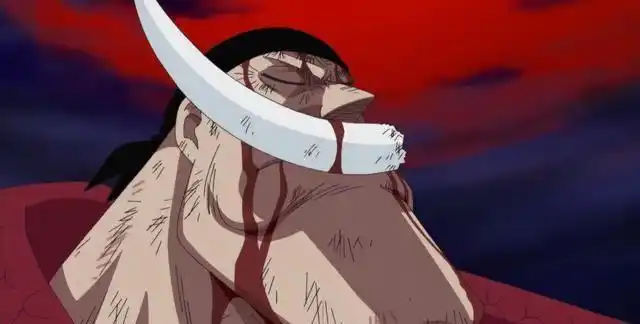 海贼王顶上战争时白胡子为何只集结自己的势力却不找外援