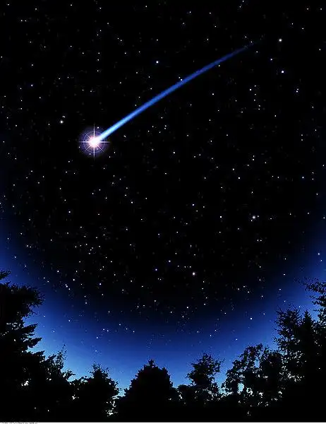 剪影,树,星空,天空,流星