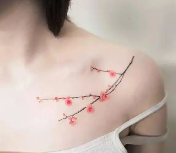 传统纹身图案寓意第十六集:梅花 菊花 荷花 牡丹