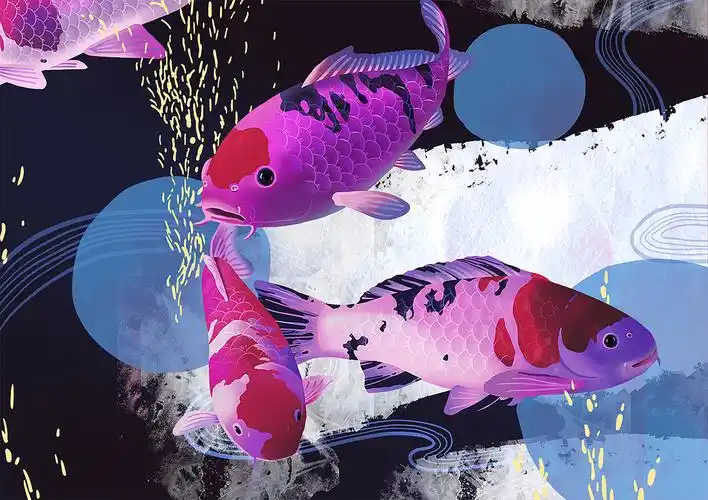 鱼群|插画|商业插画|大普子_原创作品-站酷zcool