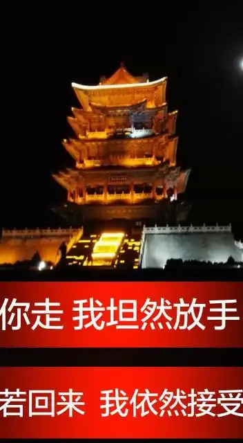 你走 我坦然放手