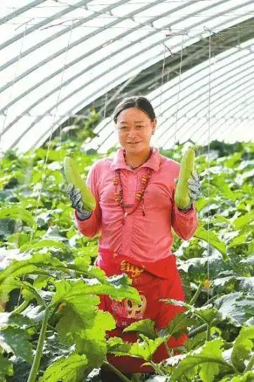 12月的一个周末,甘孜州石渠县洛须镇邓玛盛宴餐厅又迎来一批外地游客.