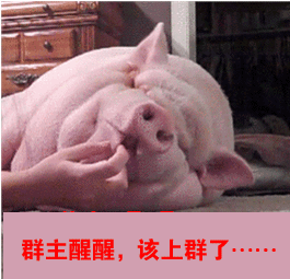 遮脸的那种_表情包_斗图图片