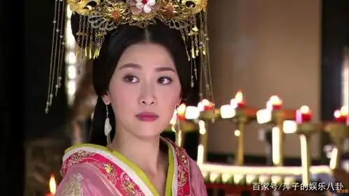 但都获得了观众不少的称赞,特别是《卫子夫》中的"平阳公主"一角,可以