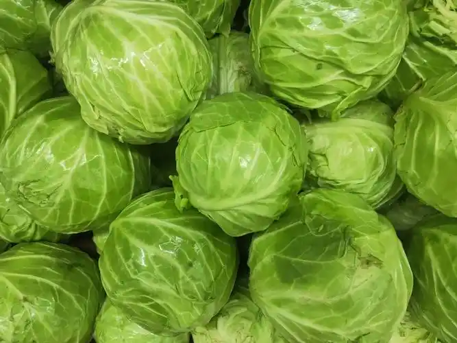 绿甘蓝   0.79元/斤