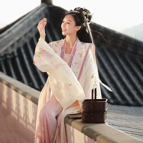 对襟衫 衫 大袖 褶裙套装 刺绣古风演出服改良古装 - 女装/女士精品