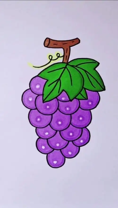 葡萄简笔画