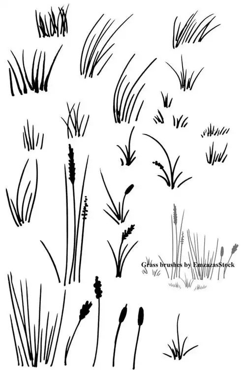 手绘青草野草杂草ps笔刷下载