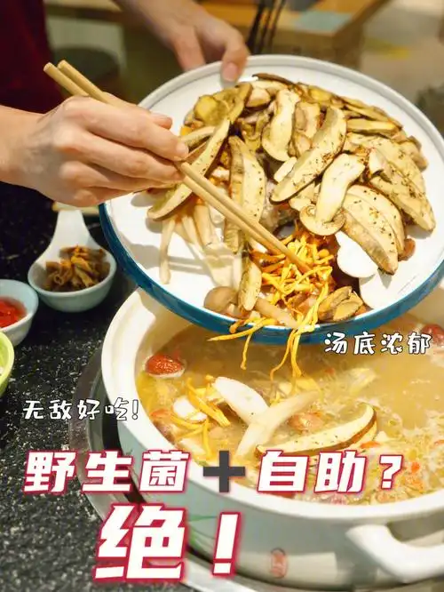 云南旅游野生菌火锅自助新体验多彩之南
