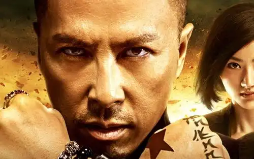 特殊身份甄子丹壁纸剧照