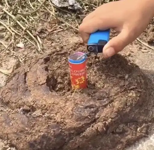 小时候在农村最喜欢炸牛屎堆,那场面简直不敢回忆,以前这样玩没少吃亏