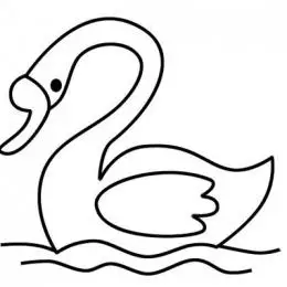 简笔画之漂亮的百合花的简单画法