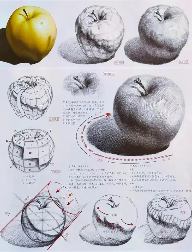 素描基础 #零基础教学 #素描苹果画法 #素 - 抖音