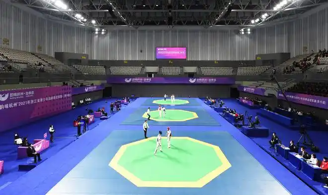 21枚金牌浙江省青少年跆拳道冠军赛男子组临安收官