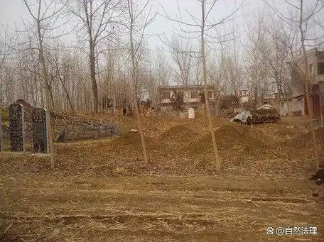 土葬与骨灰下葬有哪些风水注意