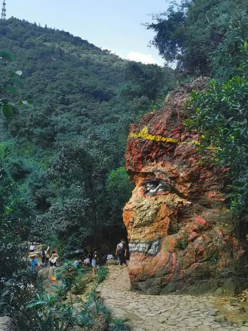 南海湾森林生态园