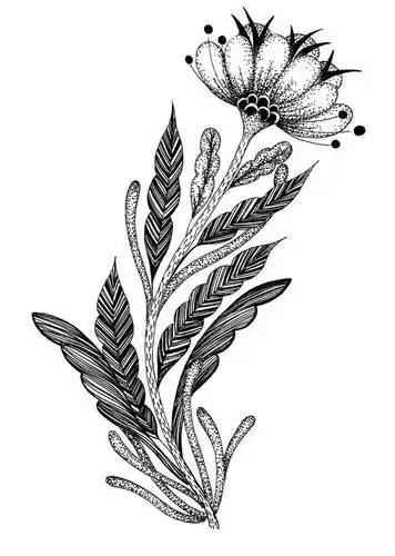 step   :点画叶子.整体调整一下,完成花朵的创作.