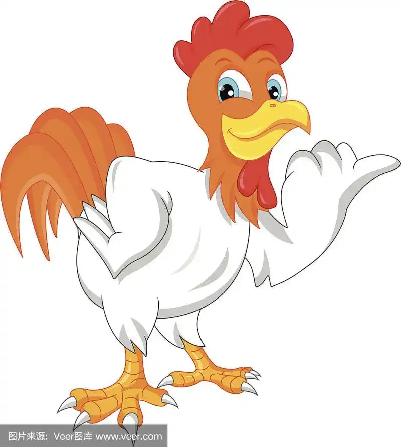 矢量插图的可爱公鸡卡通