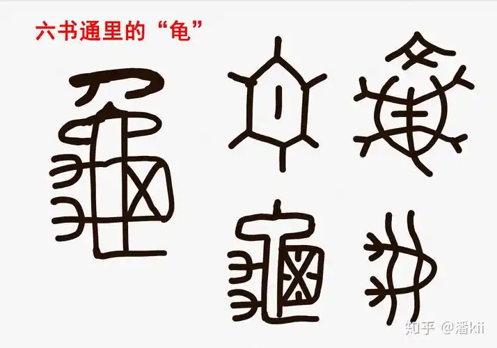 汉字你变了:龟