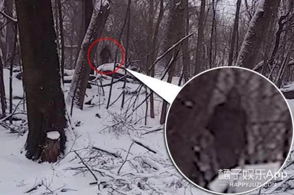 纽约公园花1万5千美元雇了8只羊,工作除了吃还是吃