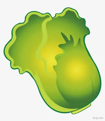 手绘绿色白菜png素材透明免抠图片-卡通手绘