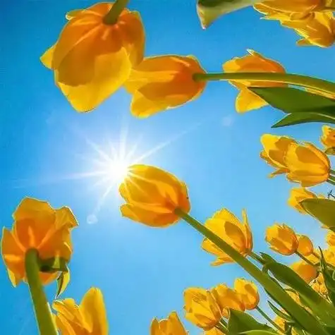 简单3招,助父母减少对孩子发脾气的频率