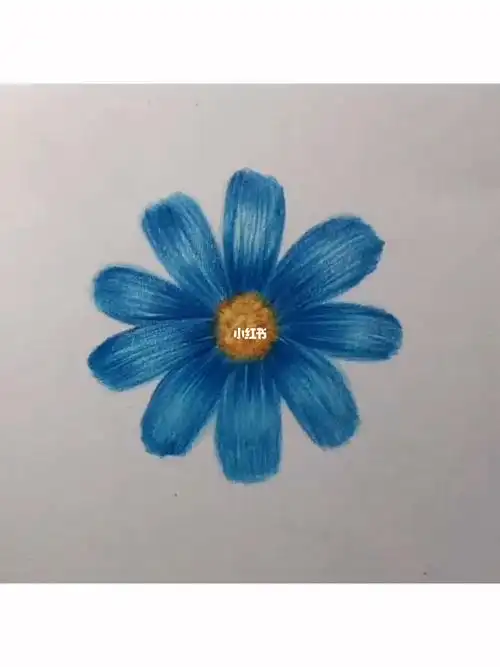 简单又好看的彩铅蓝色小花儿