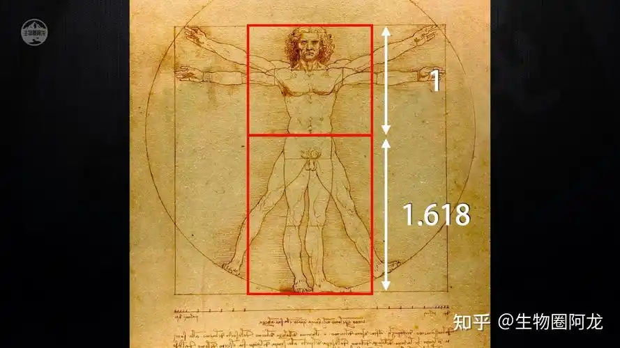 什么样的脸才算是颜值爆表对于帅哥和美女你为何会情有独钟