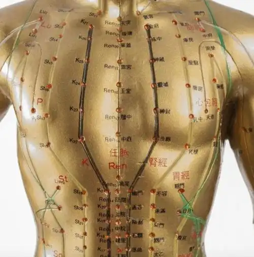 答案就是中医所说的"冲脉不通".